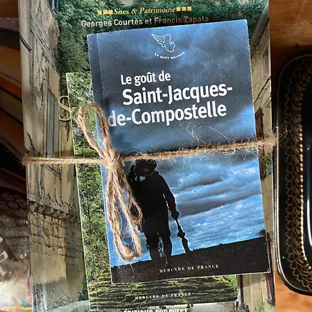 Venez Chez Nous Dans Les Pyreneess ! ホームステイ Labastide