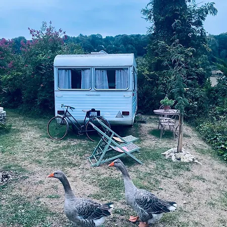 Venez Chez Nous Dans Les Pyreneess ! * Labastide